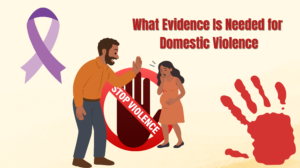 What Evidence Is Needed for Domestic Violence